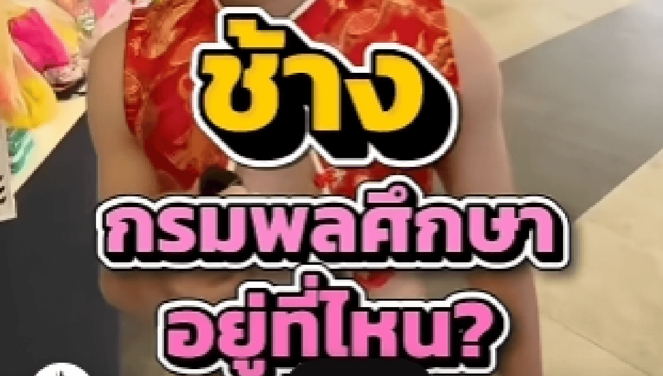 น้องๆรู้กันมั้ยเอ่ยย ว่าช้างกรมพลศึกษาอยู่ที่ไหนกันนะะ??🤔🙂↕️🥸🧐 #กรมพลศึกษา